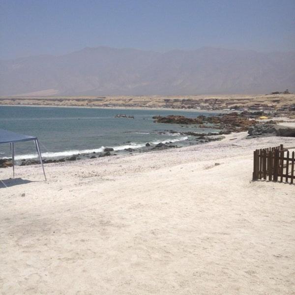 Hotel Alto Antofagasta Zewnętrze zdjęcie
